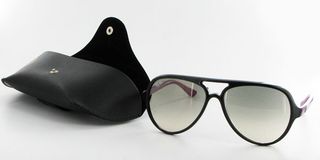 Ray-ban-cats1